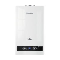 Водонагреватель газовый проточный THERMEX B 20 D Pro